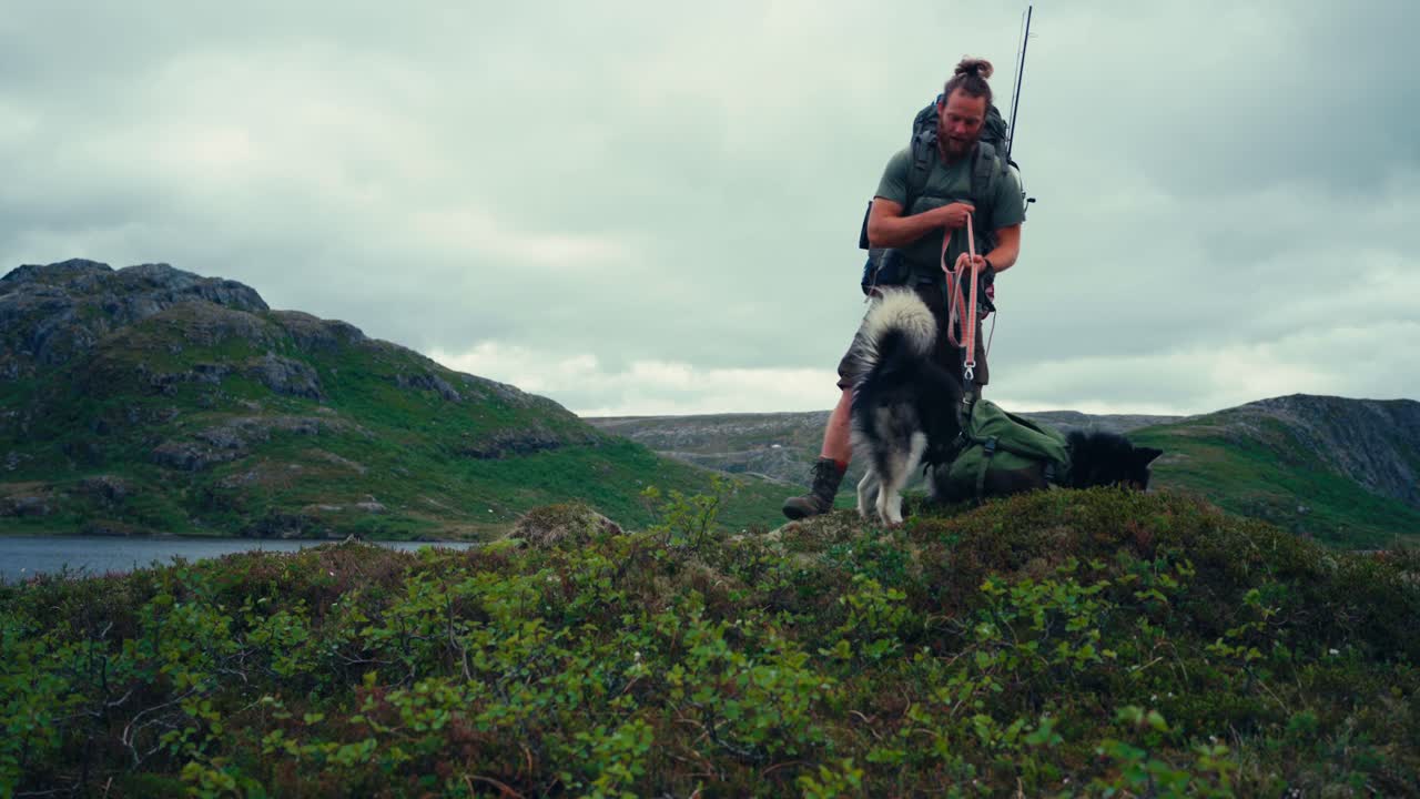 turista viajando con el malamute de alaska cerca de la orilla del lago palvatnet por las montañas en osen, noruega
