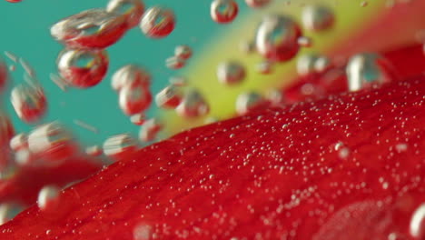 pétalo de fruto rojo con burbujas