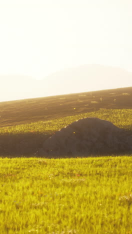 sunrise over a field of green grass