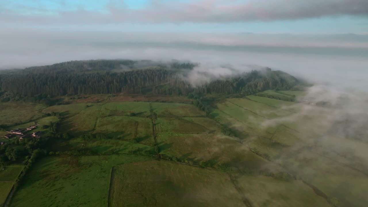 Mist and fog wrapping around wooded hilltop Beacon Fell at sunrise in summer. Trough of Bowland, Lancashire, England, UK