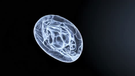 abstract image of a jellyfish