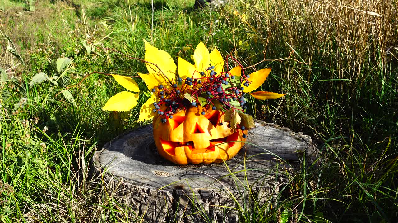 Zucca di Halloween spaventosa. Il mostro siede su un ceppo d'albero. Riprese a ottobre