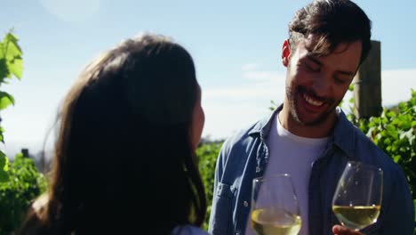 Happy-couple-toasting-wine-in-vineyard-4k
