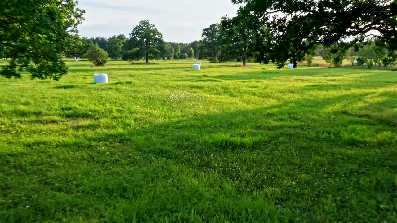 FPV Drone View Low Level Flying over Bale of Straw on Meadow in Saaremaa in Estonia - Forward Dolly Shot