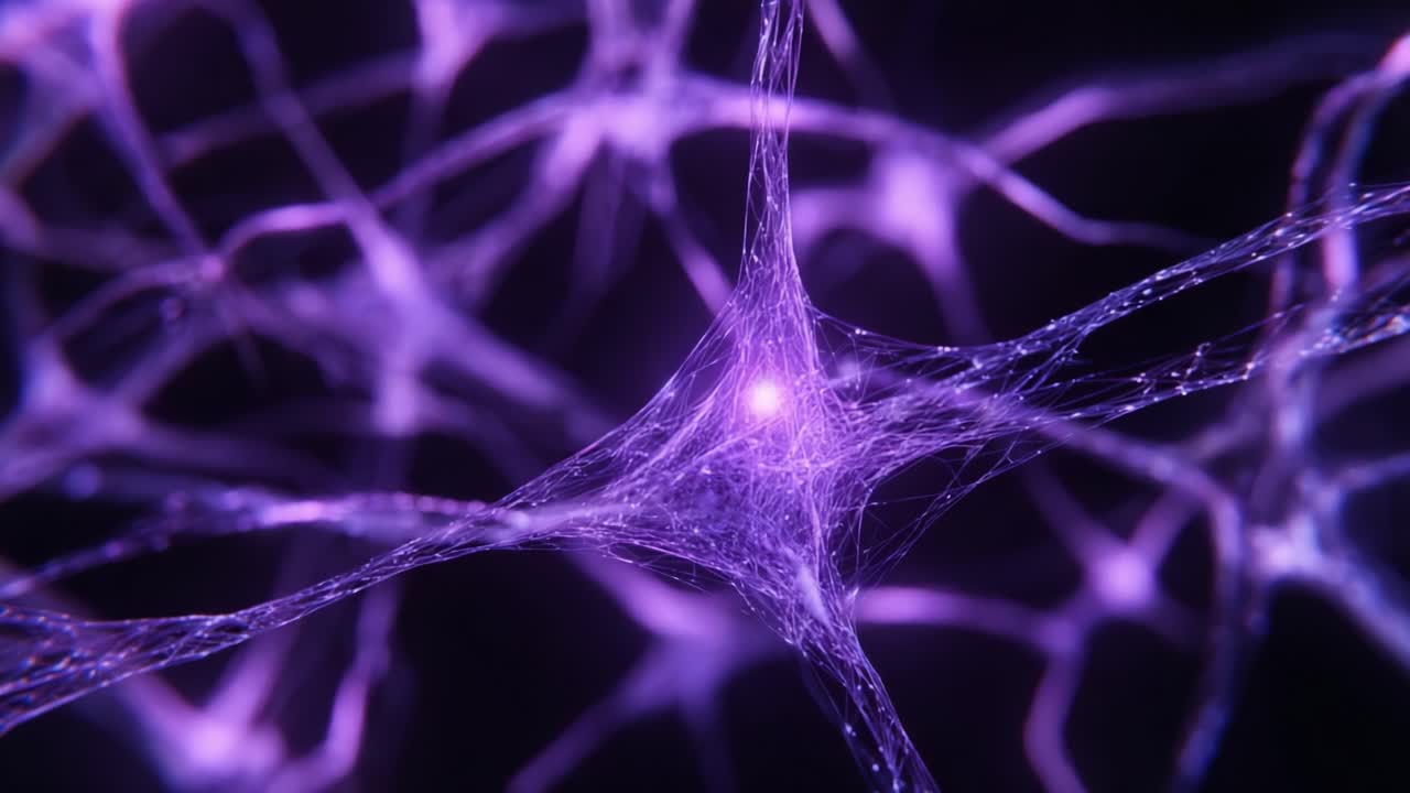 A Fascinating Exploration of Purple Neural Networks, Showcasing the Intricate Beauty of Neurons with Their Interwoven Connections and Glowing Synapses in a Dark Background Setting