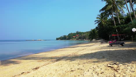 exotic beach with sunbed on white sand under palm trees, washed by calm clear water of shallow lagoon in malaysia