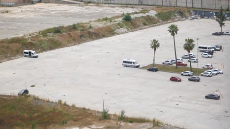 large empty parking lot with palm trees and vehicles