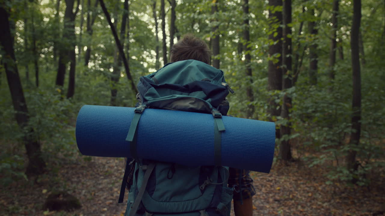 wandelaar in het bos