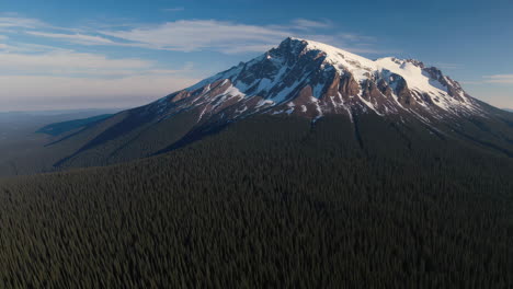 snowy mountain and evergreen forest