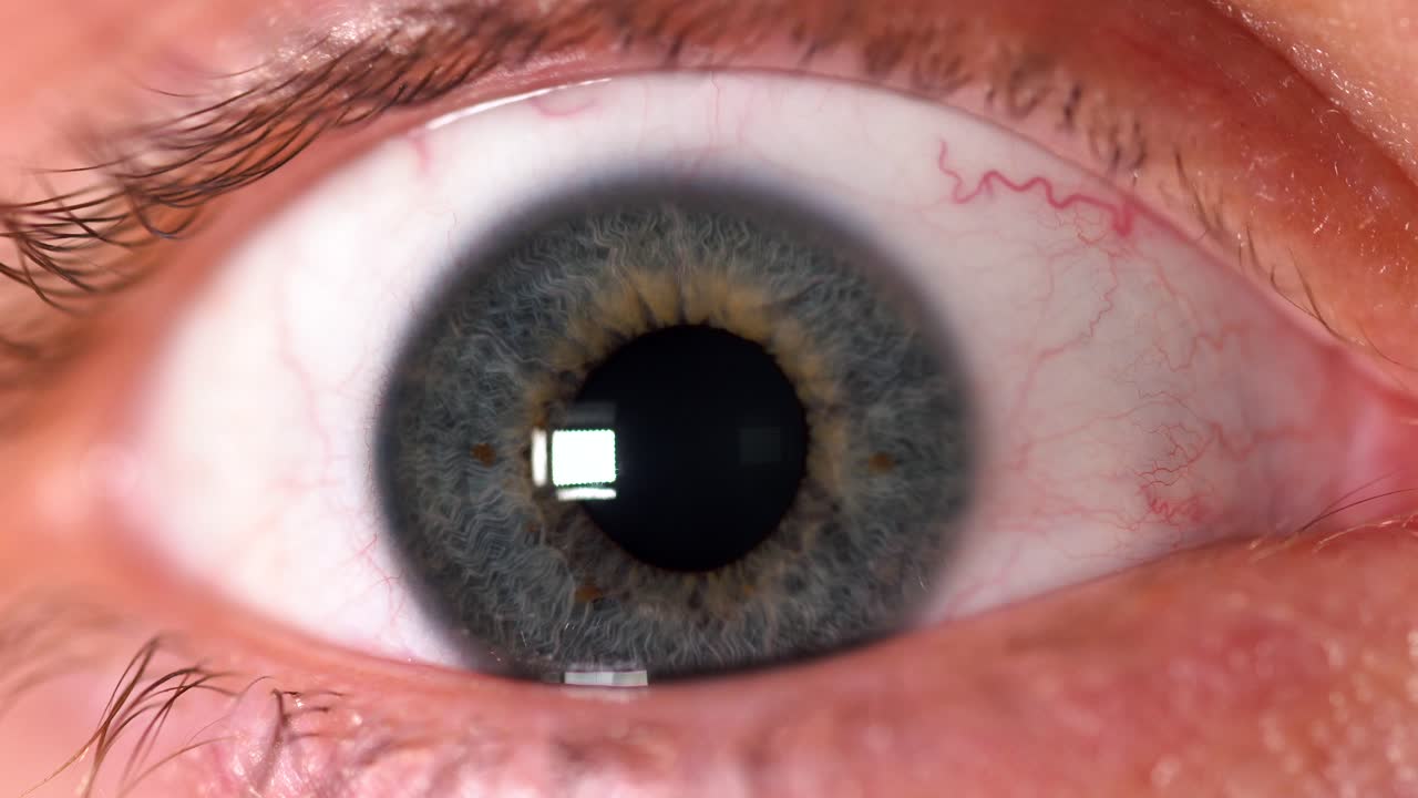 인간 눈의 클로즈업