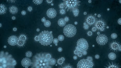 virus particles