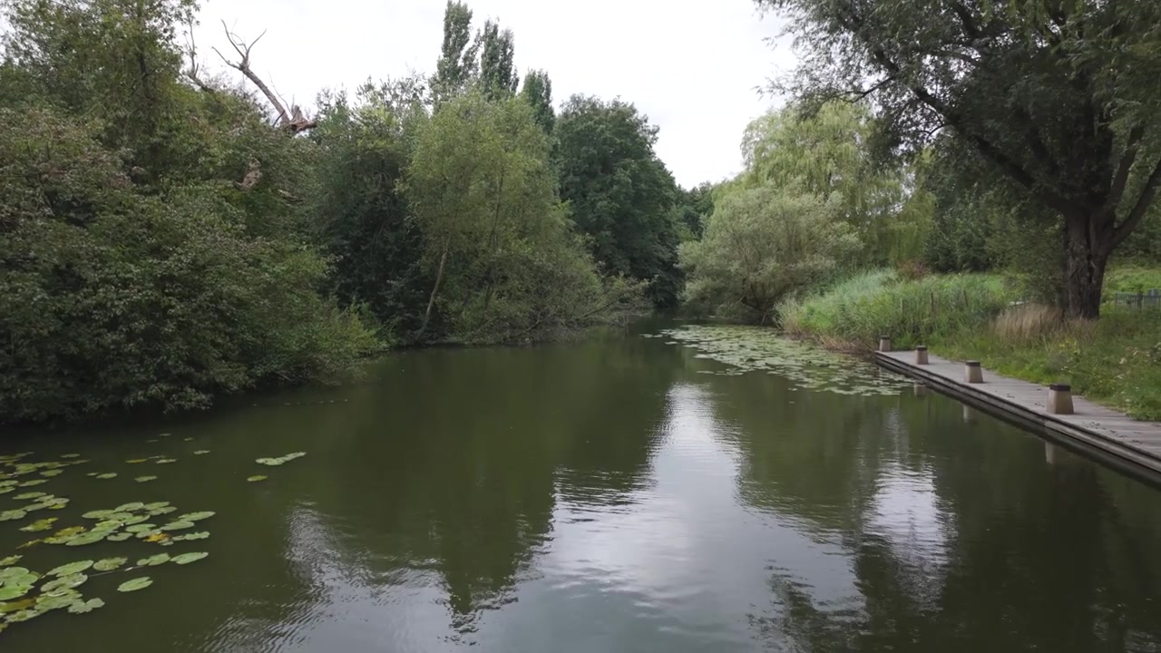 Fredfyldt kanal med frodigt grønt og trægangbro, Amstelpark, Amsterdam, Holland.