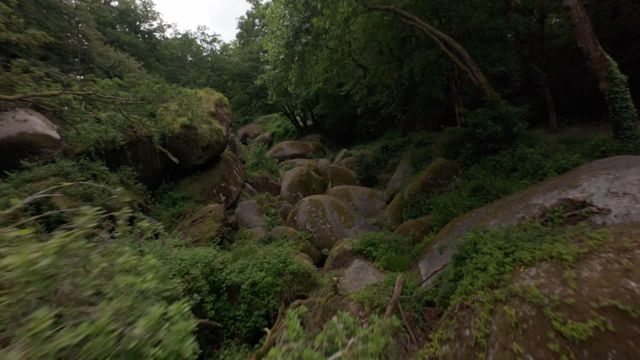 FPV drone over mossy boulders and lush nature in Brittany, a race through trees