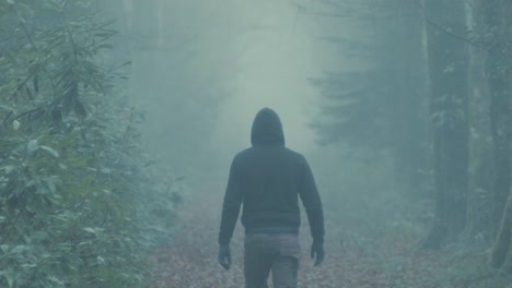 hooded youth walks down fog covered forest avenue