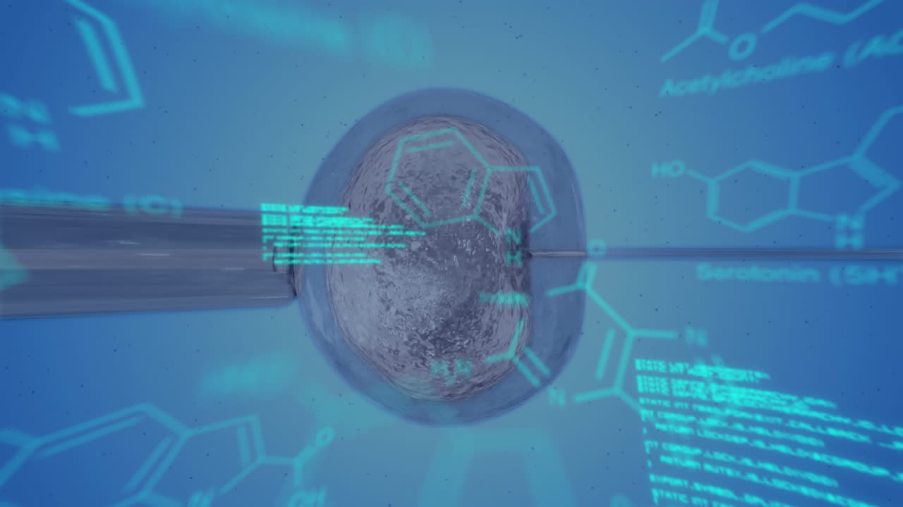 Artificial insemination with blue text and data