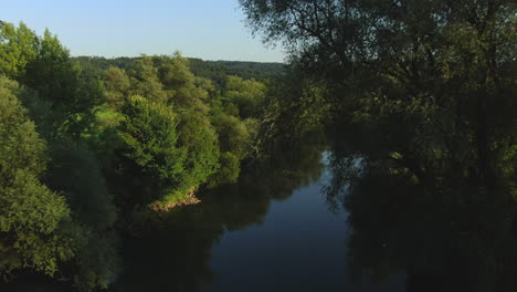 aerial drone footage dropping down towards still river, surrounded by big trees, slovenia