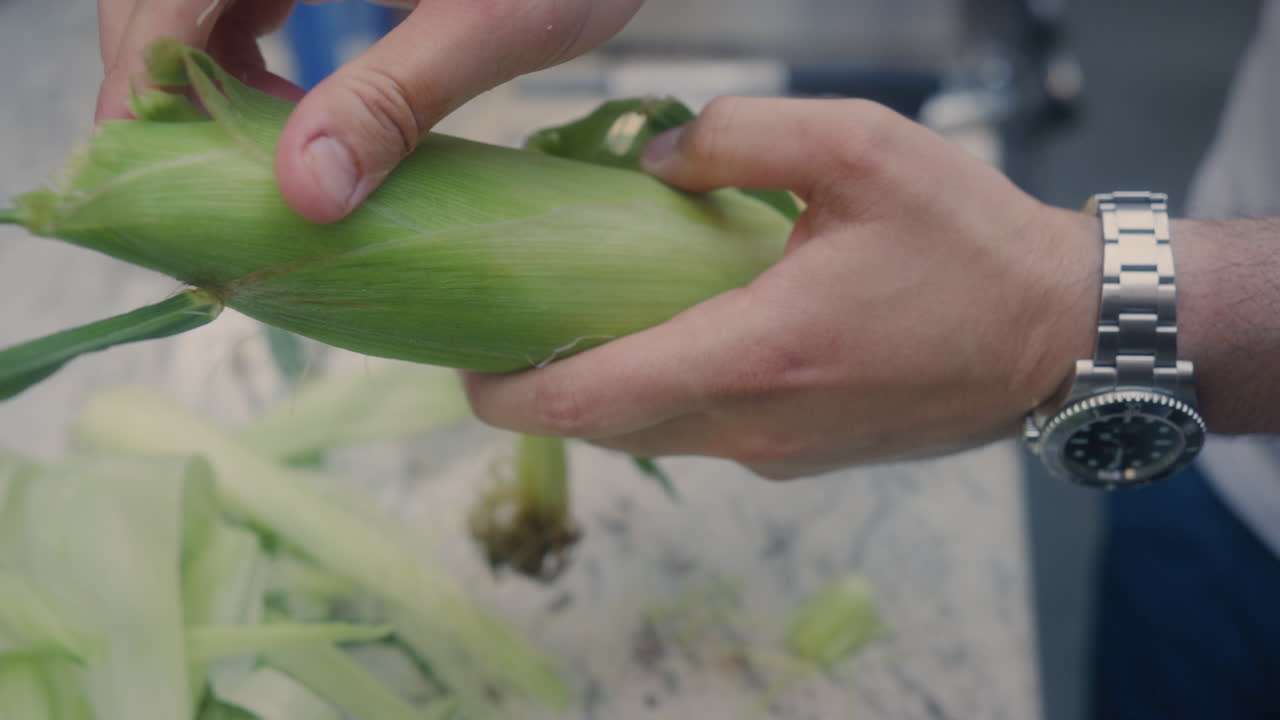 남성 손이 신선한 유기농 옥수수를 껍질을 벗기고 있습니다. 확대