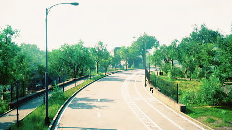 peaceful tree lined road in a serene urban park during daylight hours