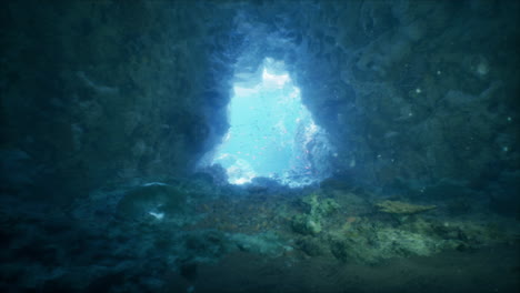 a view from inside an underwater cave