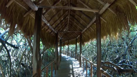 Tiro-Inclinado-Hacia-Abajo-Que-Revela-Una-Hermosa-Pasarela-Tropical-Cubierta-De-Paja-A-Través-De-Un-Bosque-De-Manglares-Dentro-De-Un-Complejo-Vacacional-En-Riviera-Maya,-México,-Cerca-De-Playa-Del-Carmen-Y-Tulum-En-Un-Día-Soleado