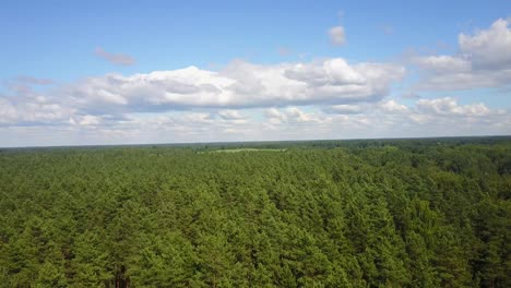 Luftaufnahme-Der-Waldlandschaft