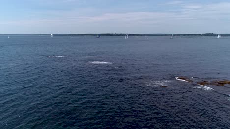 Sailboats-entering-and-leaving-Mt