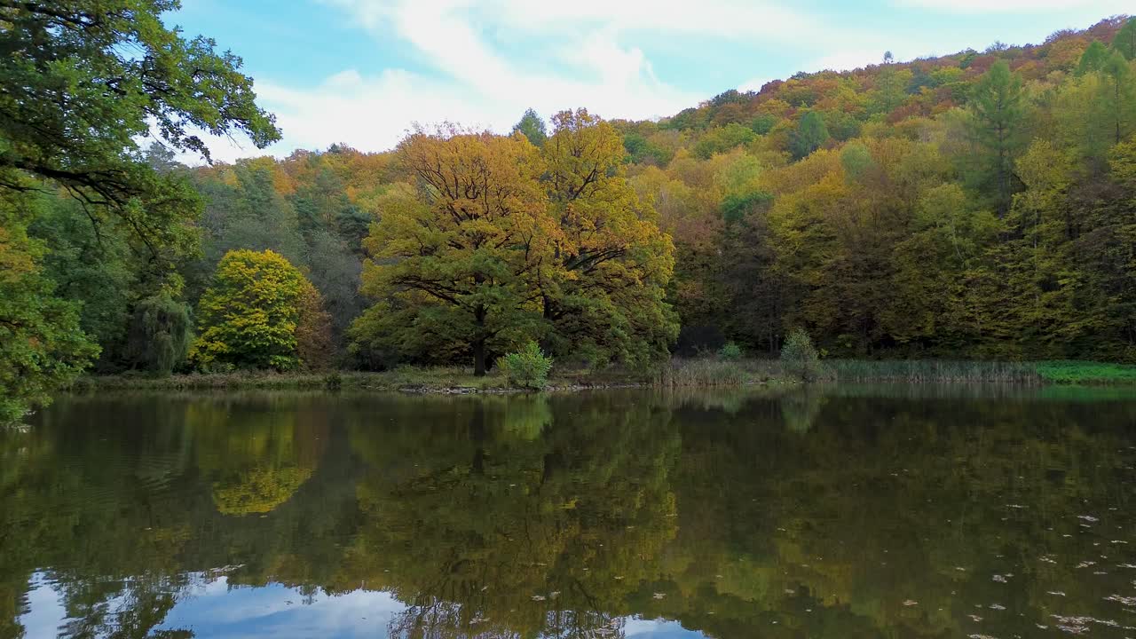 una vista desde la superficie del estanque a un árbol solitario en la orilla cerca de la cual hay un banco para que los transeúntes se sienten