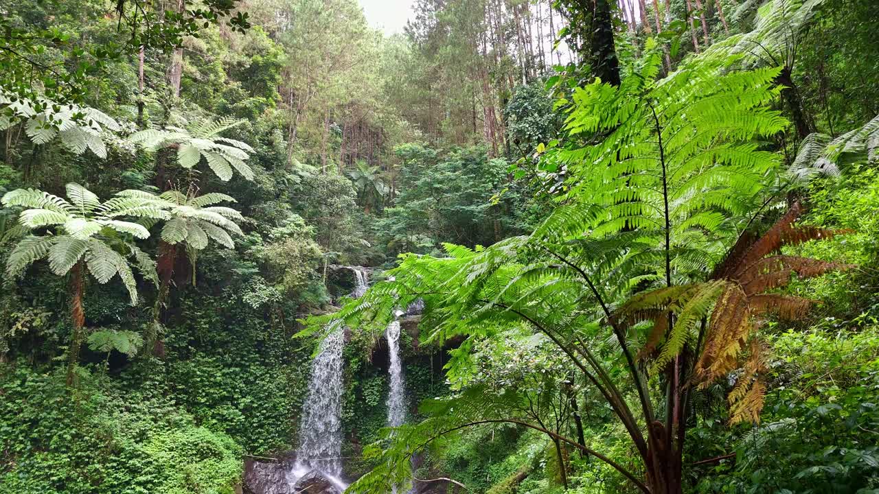 Atemberaubende Aufnahme einer tropischen Wasserfalls aus der Vogelperspektive in dichtem Regenwald, ideal für Ökotourismus, Abenteuer-Filmmaterial und Natur-Storytelling