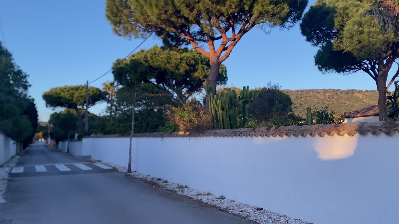Strada andalusa caratterizzata da un lungo muro bianco, tegole tradizionali, alberi verdi e cactus sotto un cielo azzurro e limpido