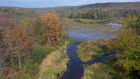 aerial of autumn colors and river