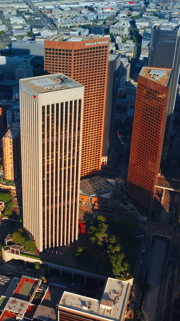 Urban building landscapes. Aerial view of american city with skyscrapers. Vertical video