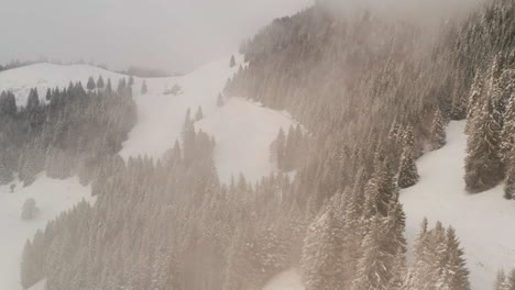 flying through clouds over snow covered pine forest in the mountains