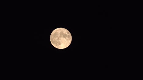 luna llena en la noche