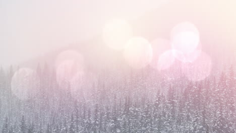 animation of landscape with winter scenery and fir tree forest covered in snow and spot lights