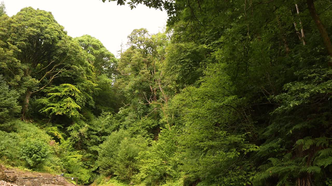 Tanaman hijau lebat mengelilingi Glengoyne Distillery, Glasgow, Skotlandia