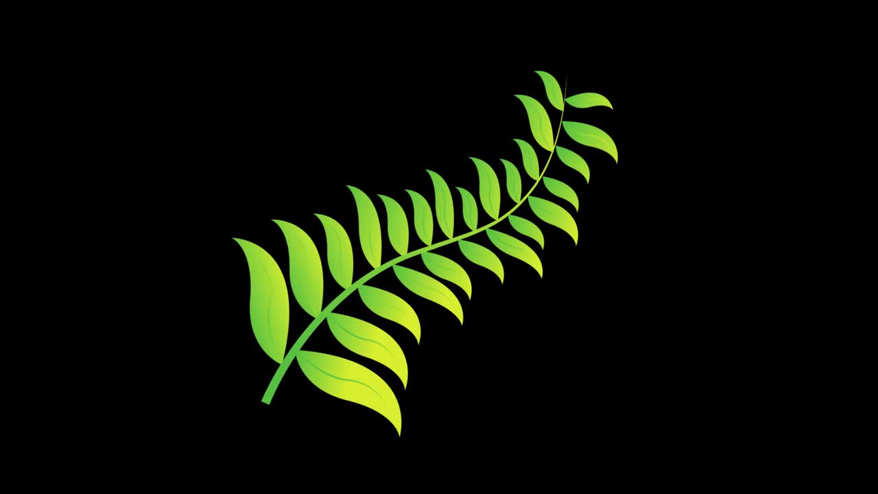 Colorful Plant 19