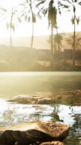 a serene oasis in the desert with palm trees and clear water