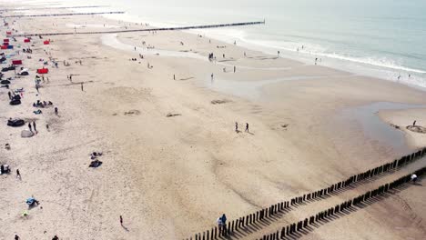 large crowded beach with several long groynes in the netherlands