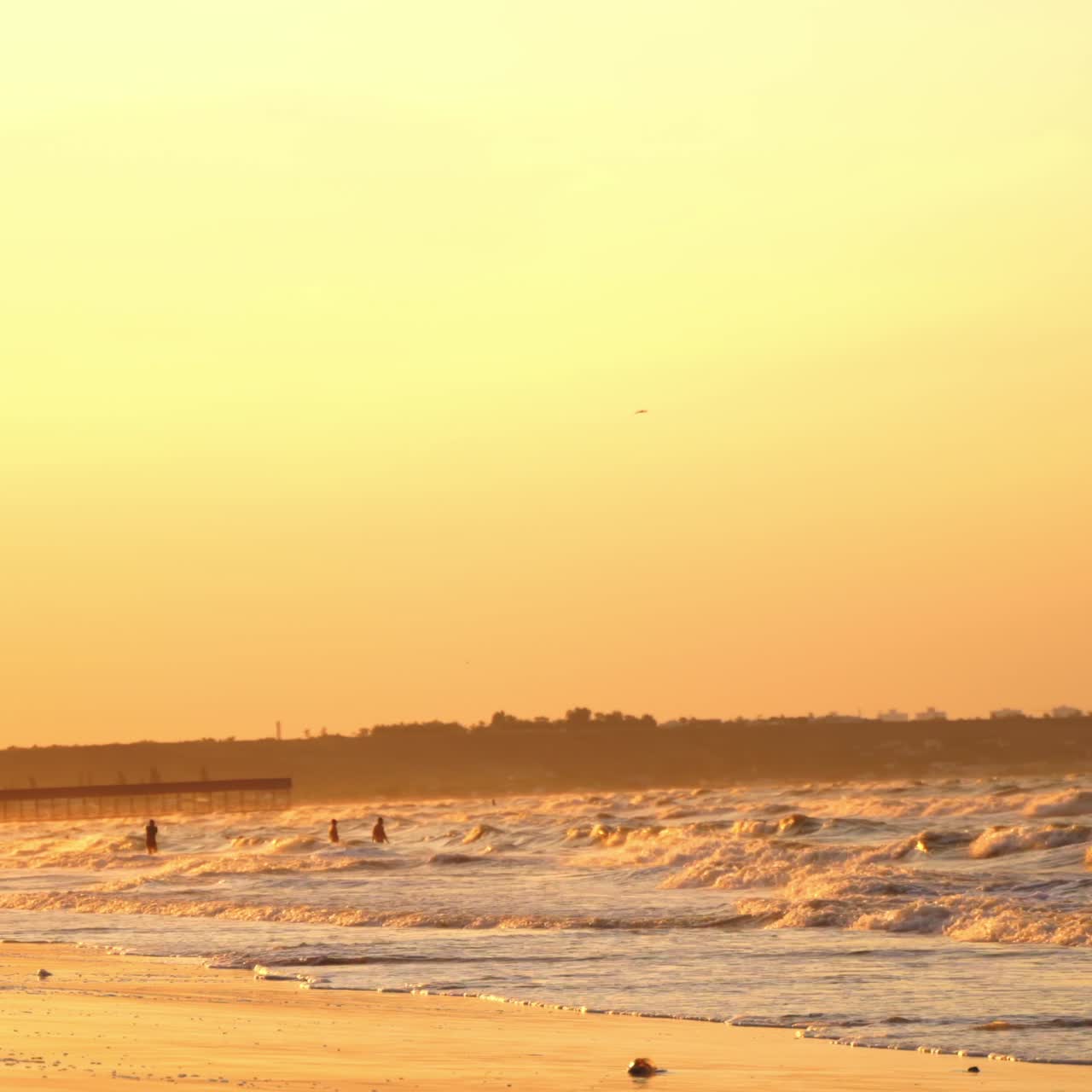 Orange sunset over the sea. Foaming sea waves washes the sandy shore in the evening. Seagulls looking for food on he shoreline.