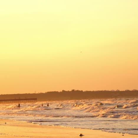 orange sunset over the sea. foaming sea waves washes the sandy shore in the evening. seagulls looking for food on he shoreline.
