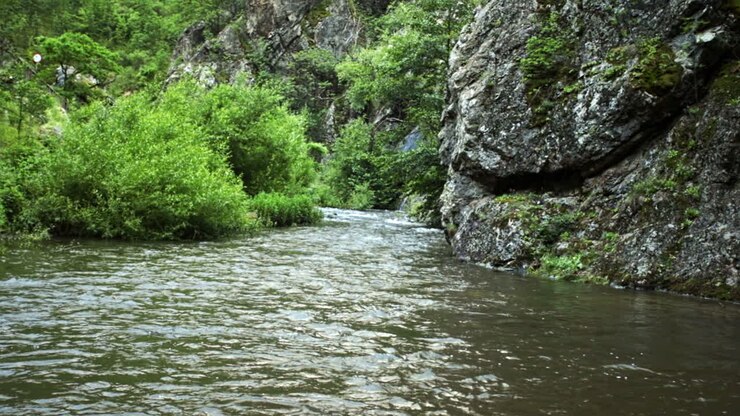 Petite rivière dans les montagnes roumaines 1