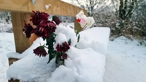 frozen bunch of memorial flowers on snowy wooden park bench