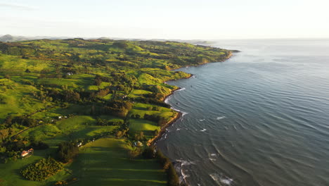 slow aerial circling of north beaches of dunedin during sunrise, new zealand