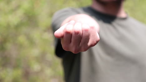 hazelnuts held in human hand 2