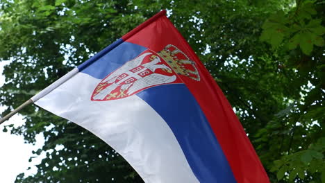 la bandera serbia se balancea en la brisa de verano