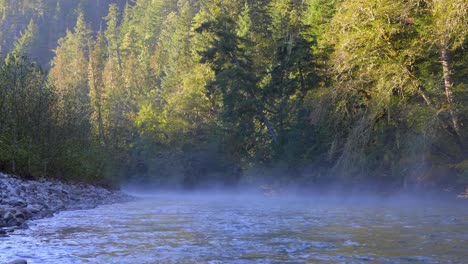 freshwater stream on a forest mountains during misty sunrise