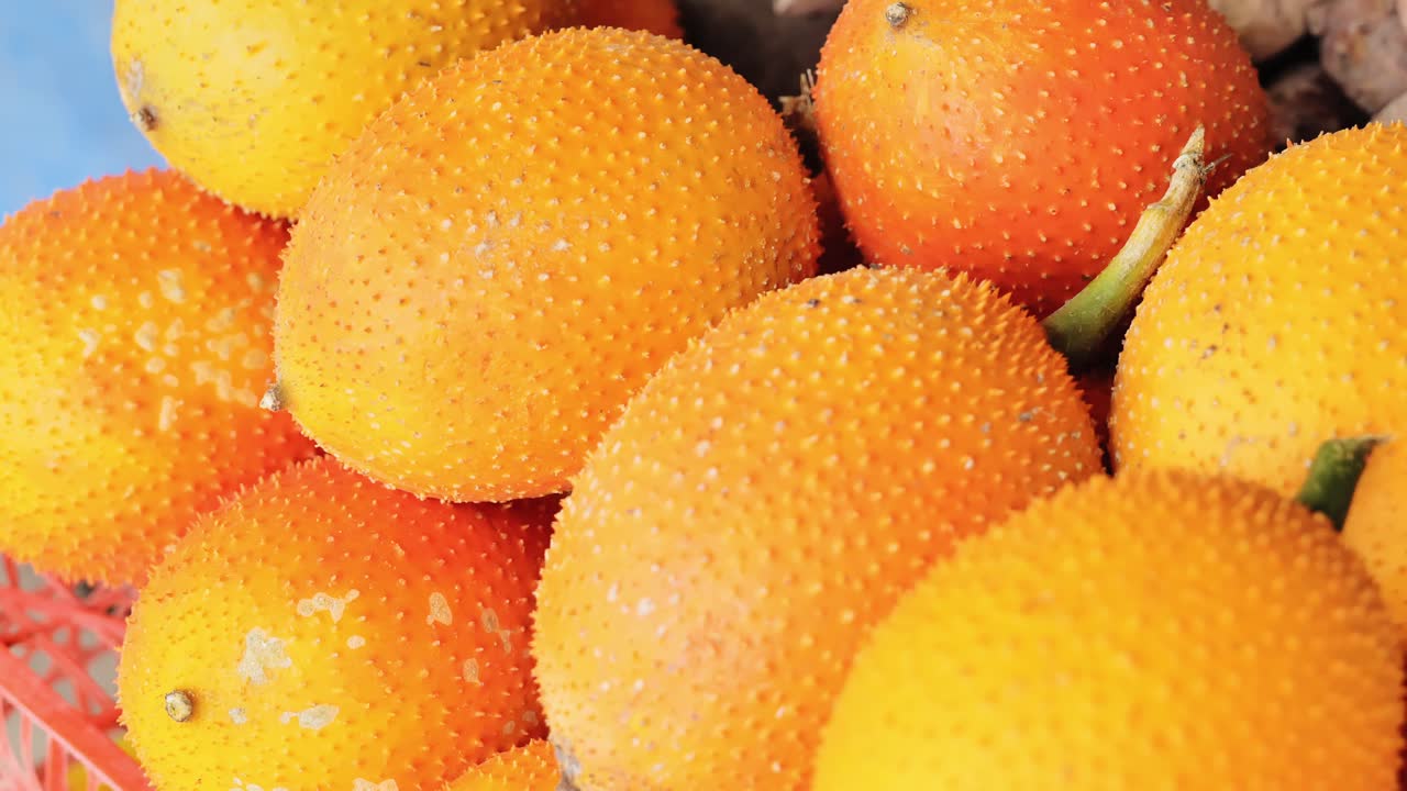 Close-up da casca espinhosa da fruta gac brilhando na luz quente do dia tropical em um mercado.
