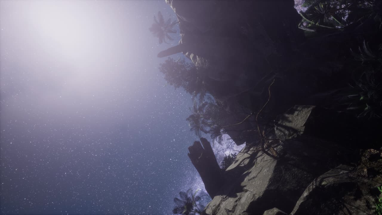 캐니언 위의 천체사진 별의 흔적