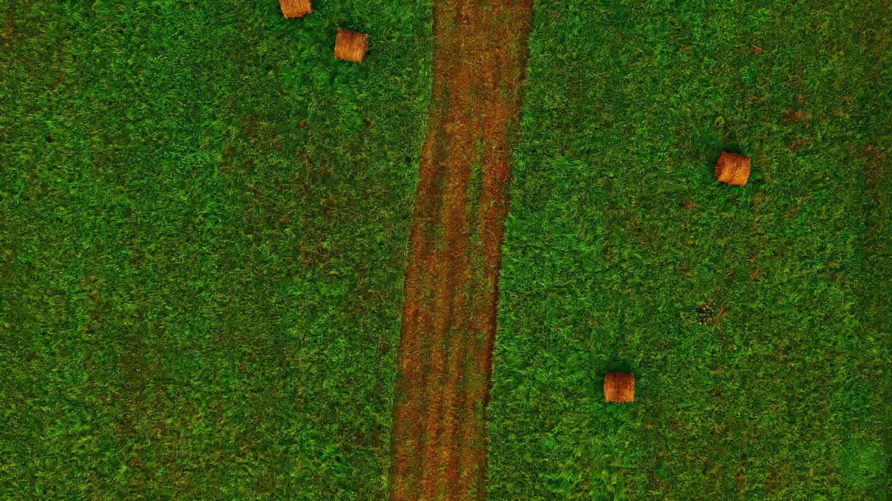 Aerial view of round hay bales scattered across green field with central tractor path