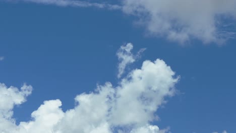 beautiful timelapse in a blue sky during the sumer season